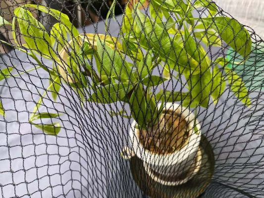 পুল অ্যান্টি হেরন কোই ফিশ পুকুর নেট সুরক্ষা 15 ফিট এক্স 20 ফু এইচডিপি কভার করে