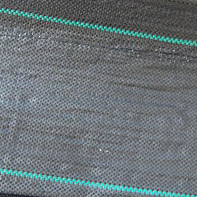 3 মি প্রশস্ত ল্যান্ডস্কেপিং শিল্প গ্রেড আগাছা ম্যাটিং 3x 50 উদ্ভিজ্জ উদ্যানের জন্য