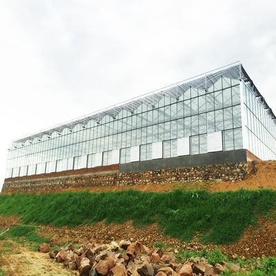 95 উইন্ডব্রেক গ্রিন এগ্রো শেড নেটিং এইচডিপিই ফ্যাব্রিক শেড