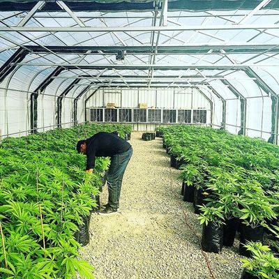 60% আউটডোর প্যাটিও প্লাস্টিকের এগ্রি শেড নেট ভেজিটেবল গার্ডেনের জন্য