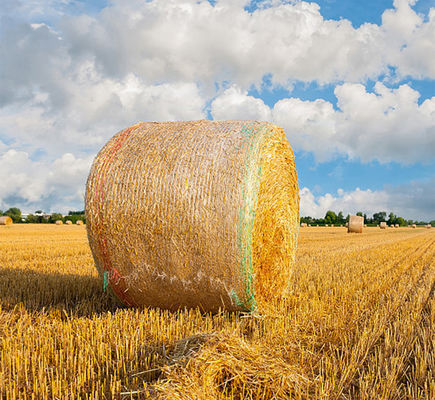 8.33GSM বেল নেট মোড়ানো প্লাস্টিক অ্যান্টি ইউভি সতর্কতা রেখা সহ
